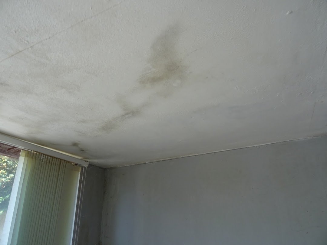 How Surveyors Investigate Damp: Moisture Meters, Leaks and Building Fabric